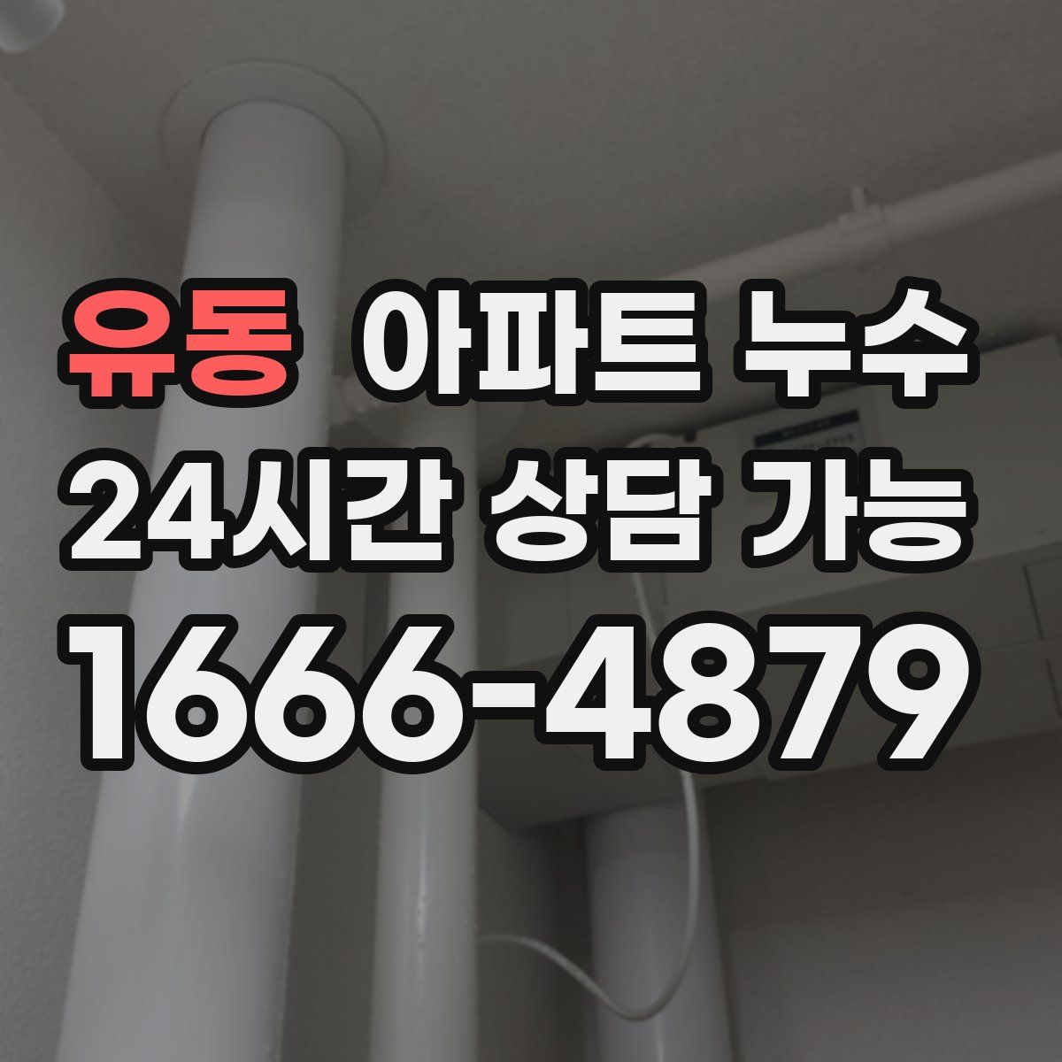 유동 아파트 누수탐지