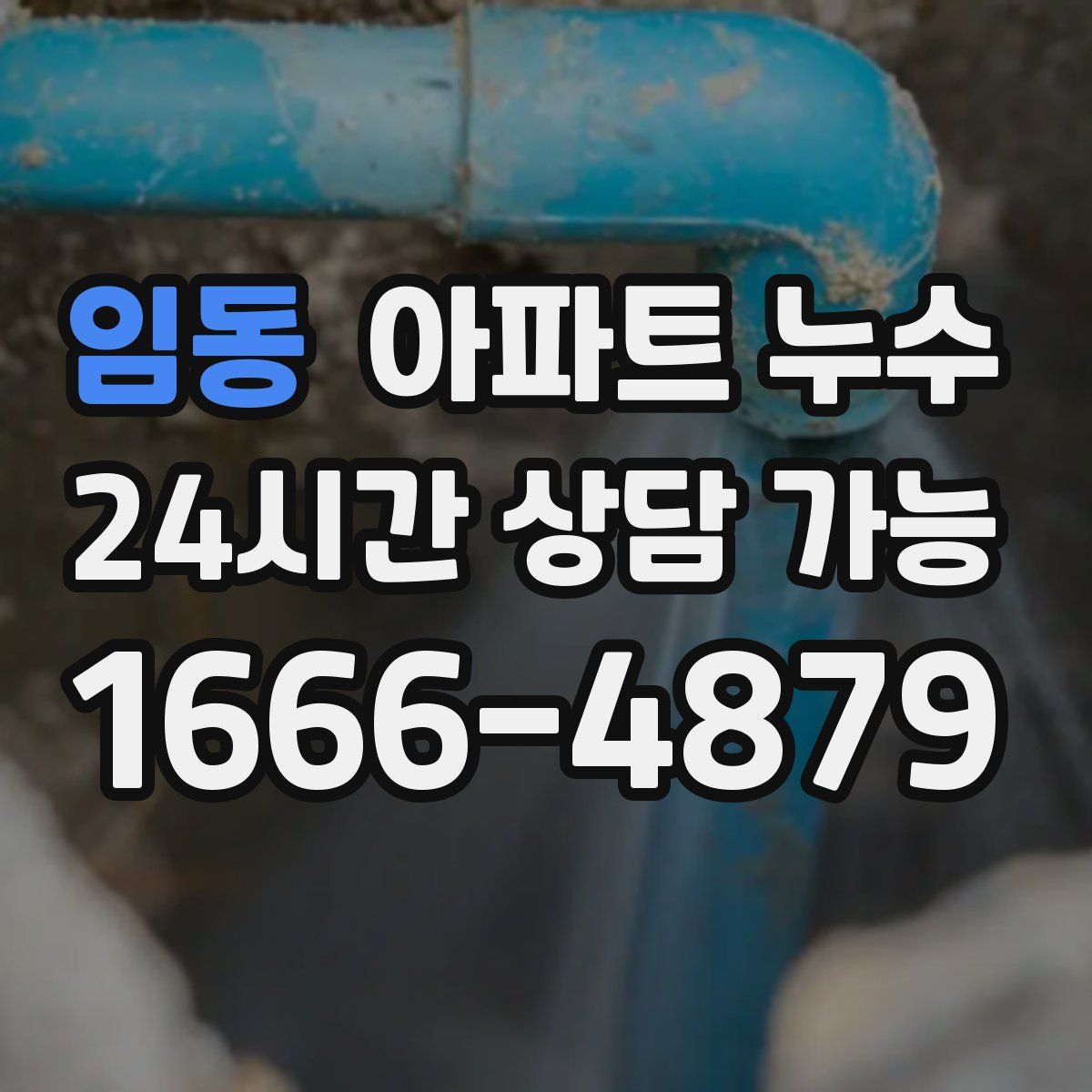 임동 아파트 누수탐지