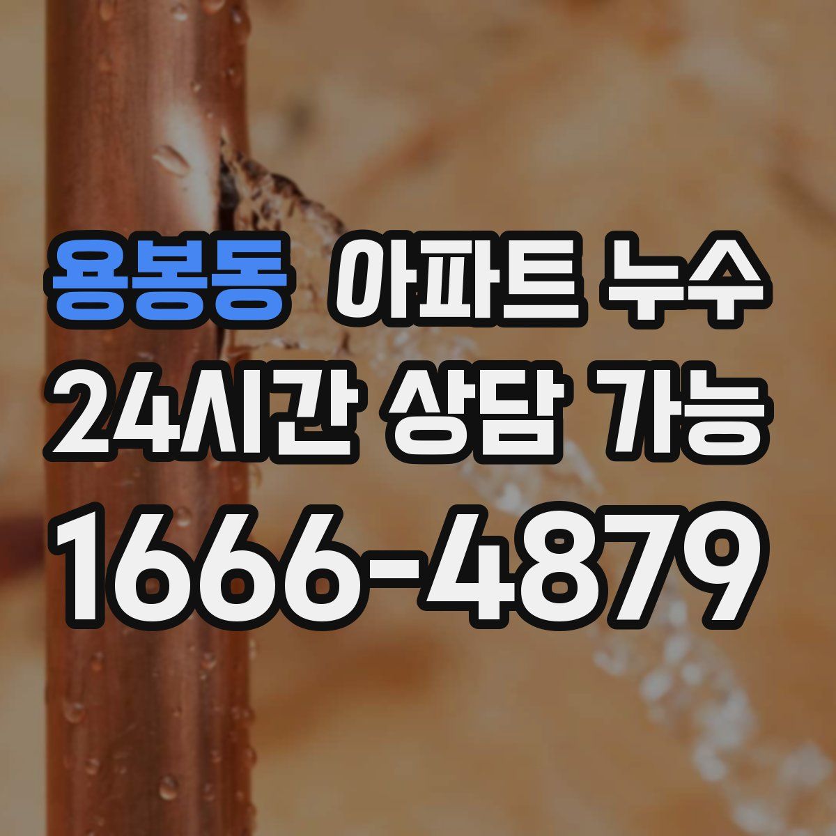 용봉동 아파트 누수탐지