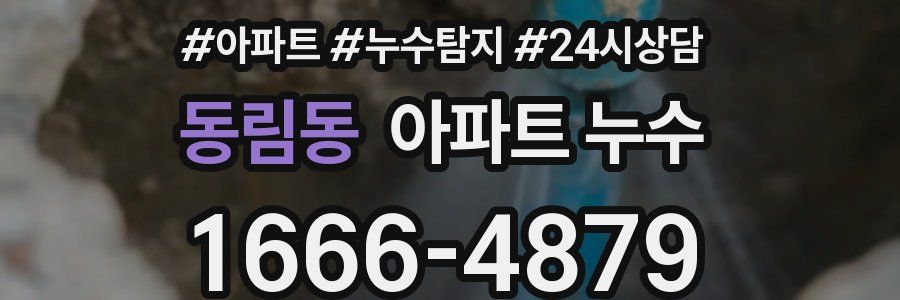 동림동 누수탐지