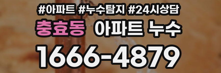 충효동 누수탐지