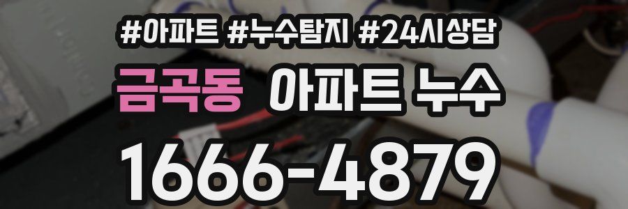 금곡동 누수탐지