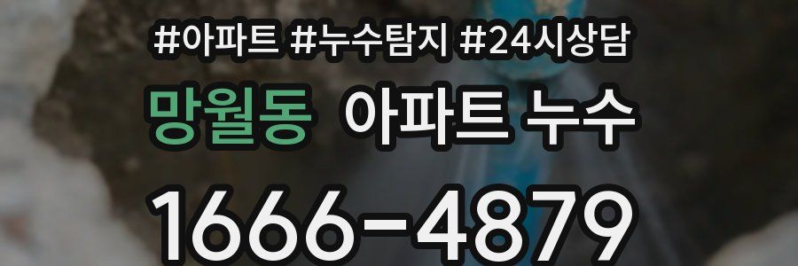 망월동 누수탐지