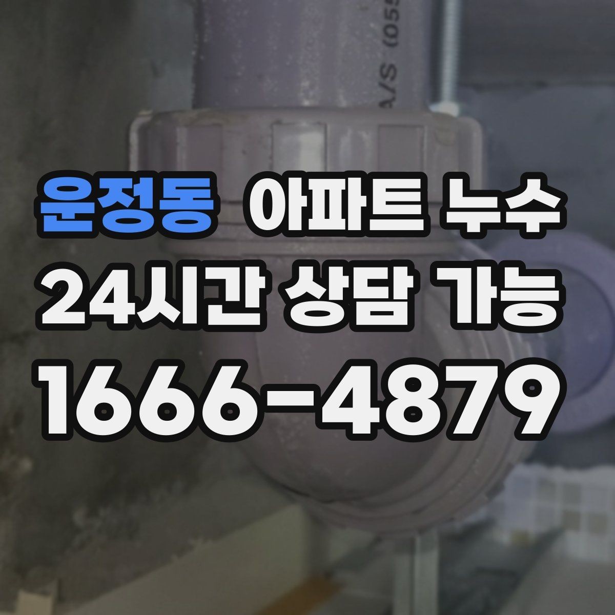 운정동 아파트 누수 욕실 밖 벽면이 젖을 때 원인 확인