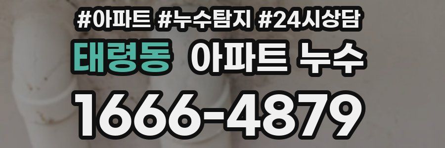 태령동 누수탐지