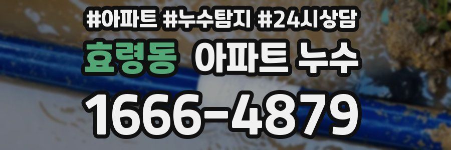 효령동 누수탐지