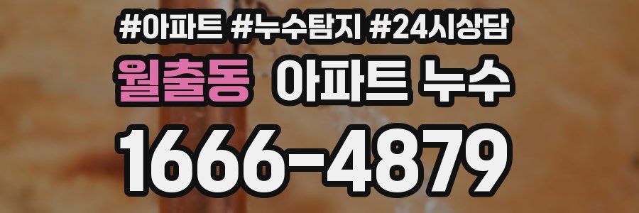 월출동 누수탐지