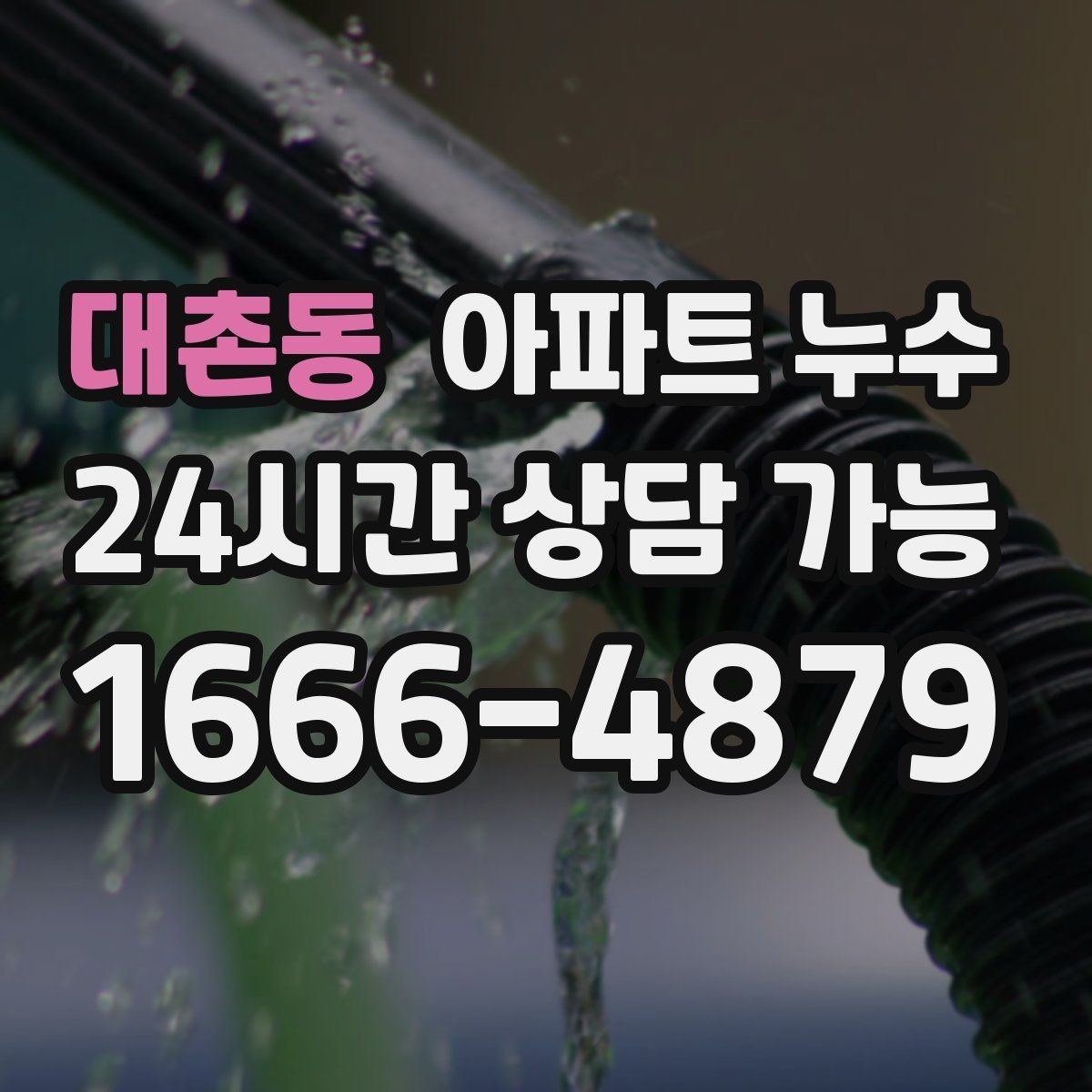 대촌동 아파트 누수 다용도실 벽 변색 커지기 전 점검 순서 체크