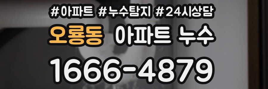 오룡동 누수탐지