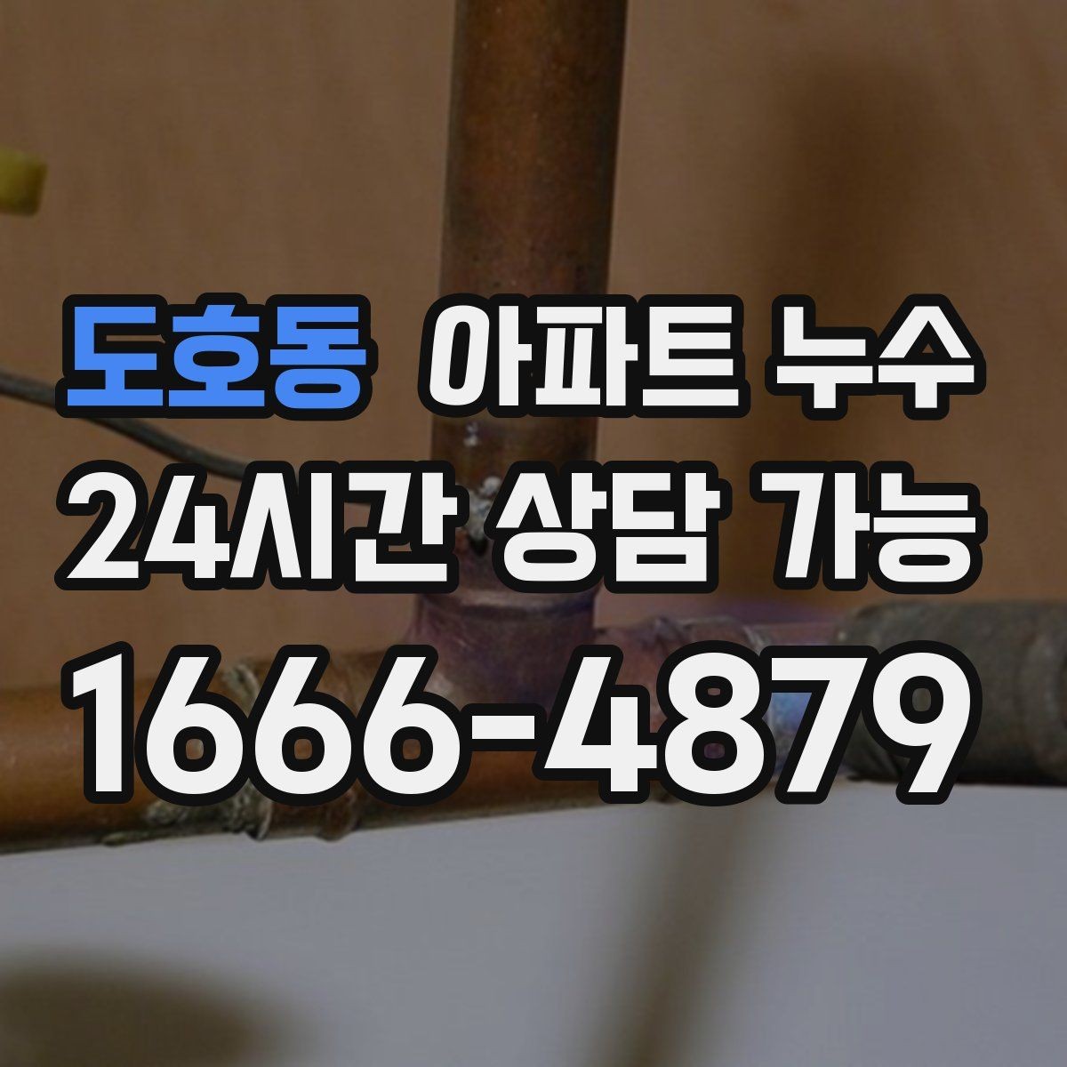 도호동 아파트 누수 원인 확인 후 필요한 조치만 진행합니다