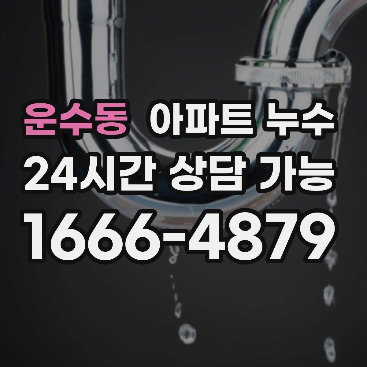 운수동 아파트 누수 욕실 문 하단 변색 방치하면 커지는 이유와 정리 방법