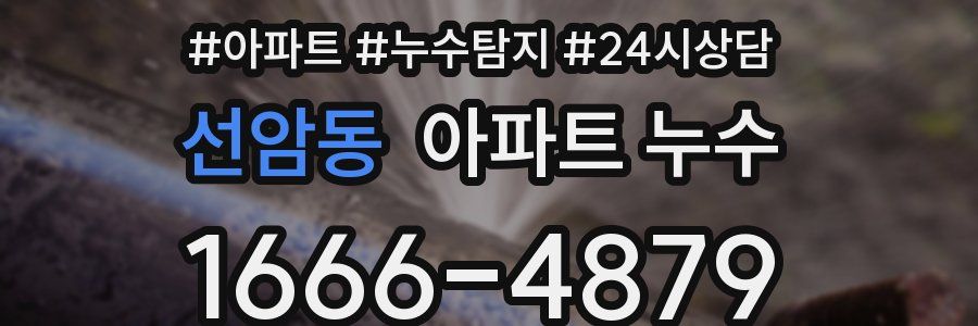 선암동 누수탐지