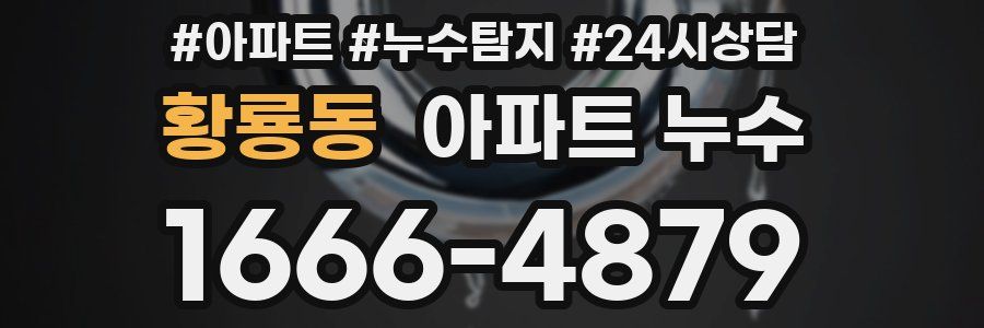 황룡동 누수탐지