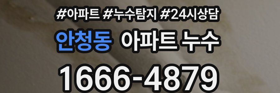 안청동 누수탐지