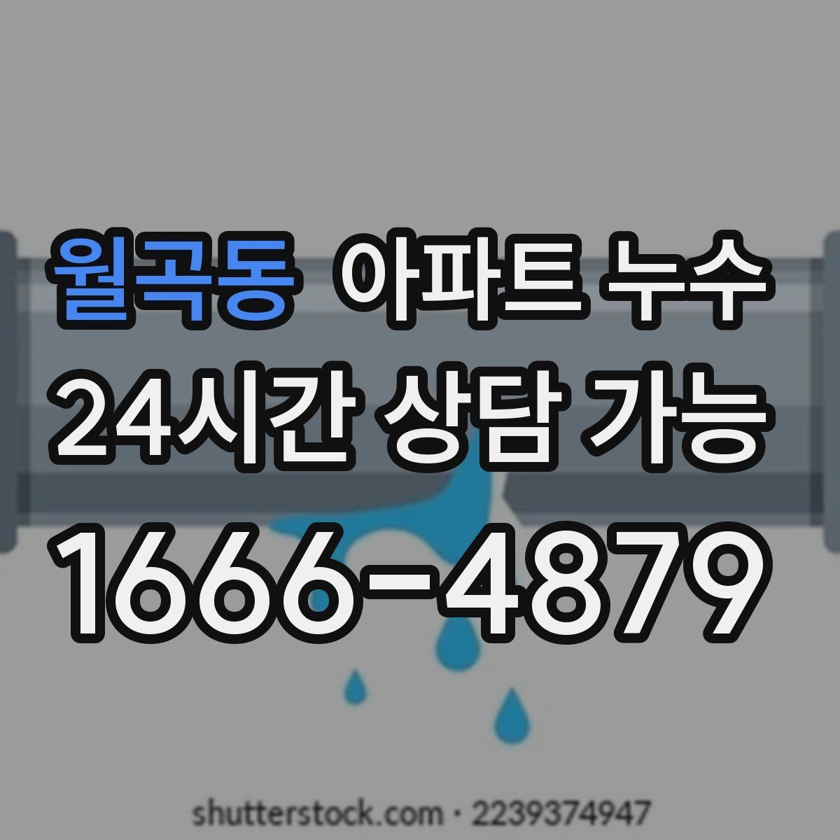 월곡동 아파트 누수 신발장 주변 습기와 곰팡이 원인