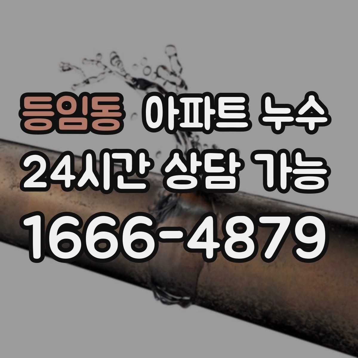 등임동 아파트 누수 천장 물방울 방치하면 커지는 이유와 정리 방법