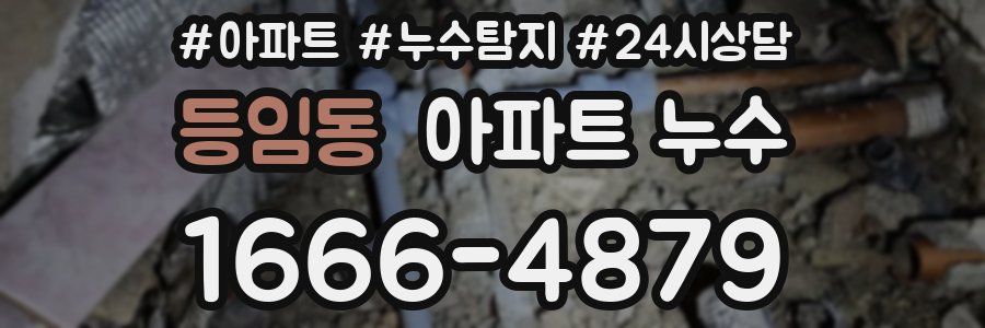 등임동 누수탐지