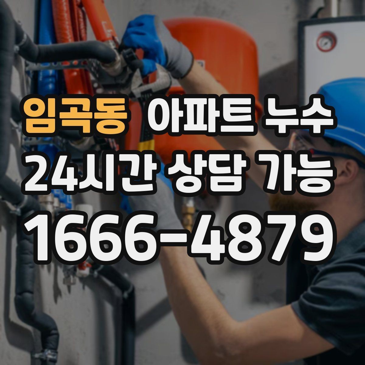 임곡동 아파트 누수 벽 모서리 곰팡이 방치하면 커지는 이유와 피해 최소화