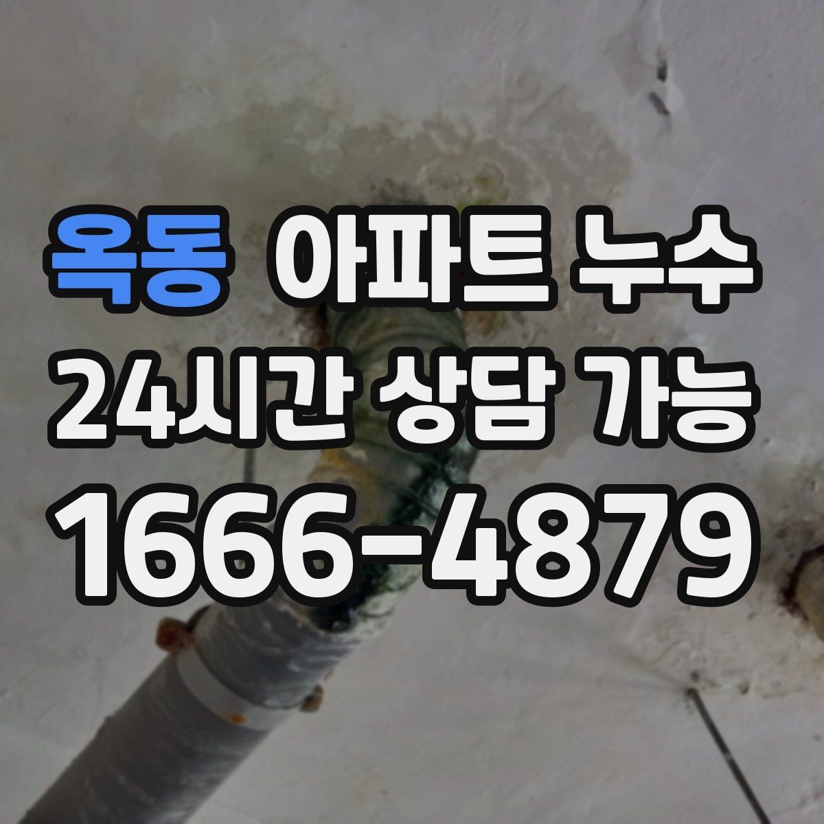 옥동 아파트 누수 빠른 점검이 가장 경제적인 이유