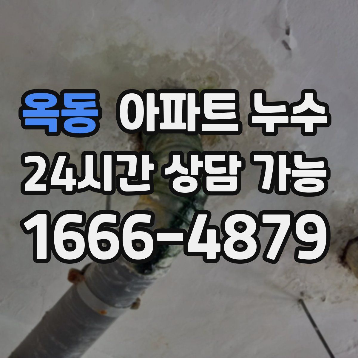 옥동 아파트 누수탐지