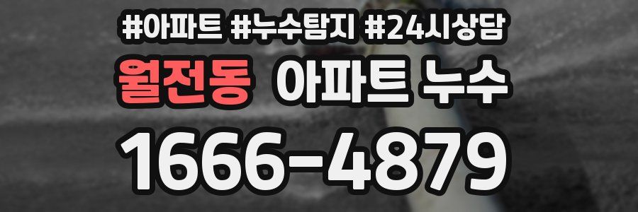 월전동 누수탐지