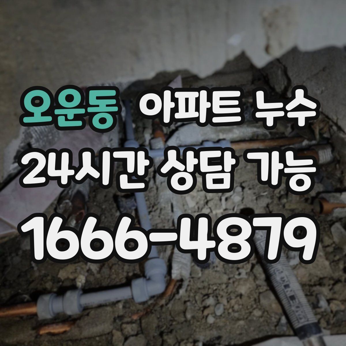 오운동 아파트 누수 벽지 덧대기 전에 꼭 확인할 것