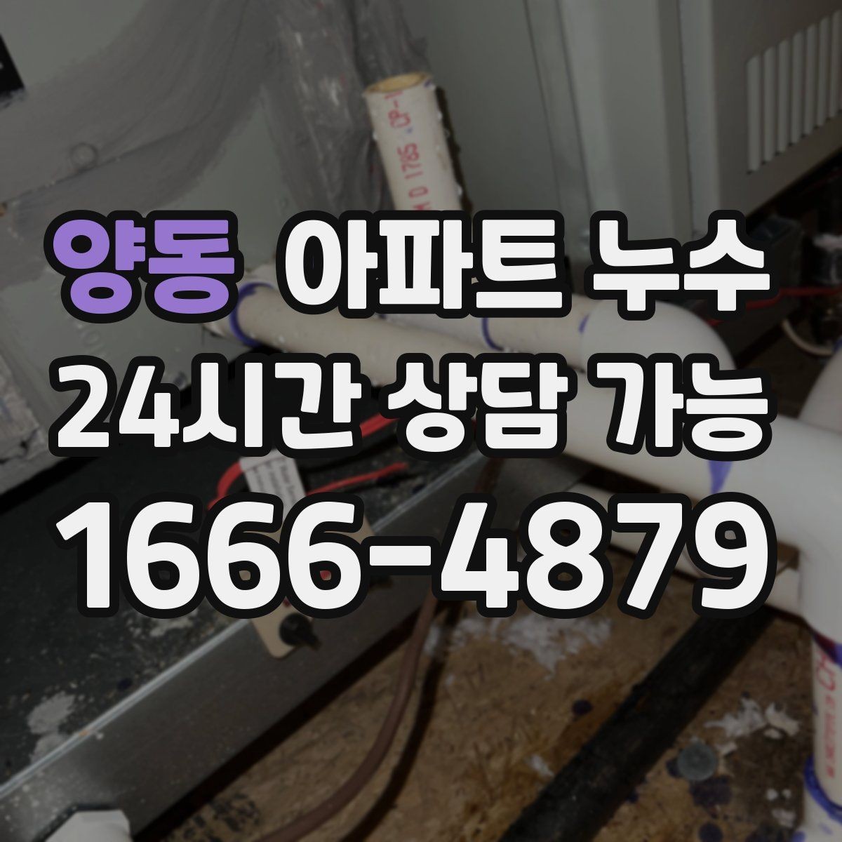 양동 아파트 누수 신발장 뒤 벽이 젖는 증상 점검