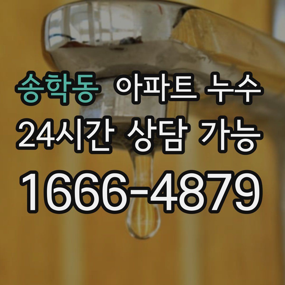 송학동 아파트 누수 타일 줄눈 주변 변색이 심해질 때