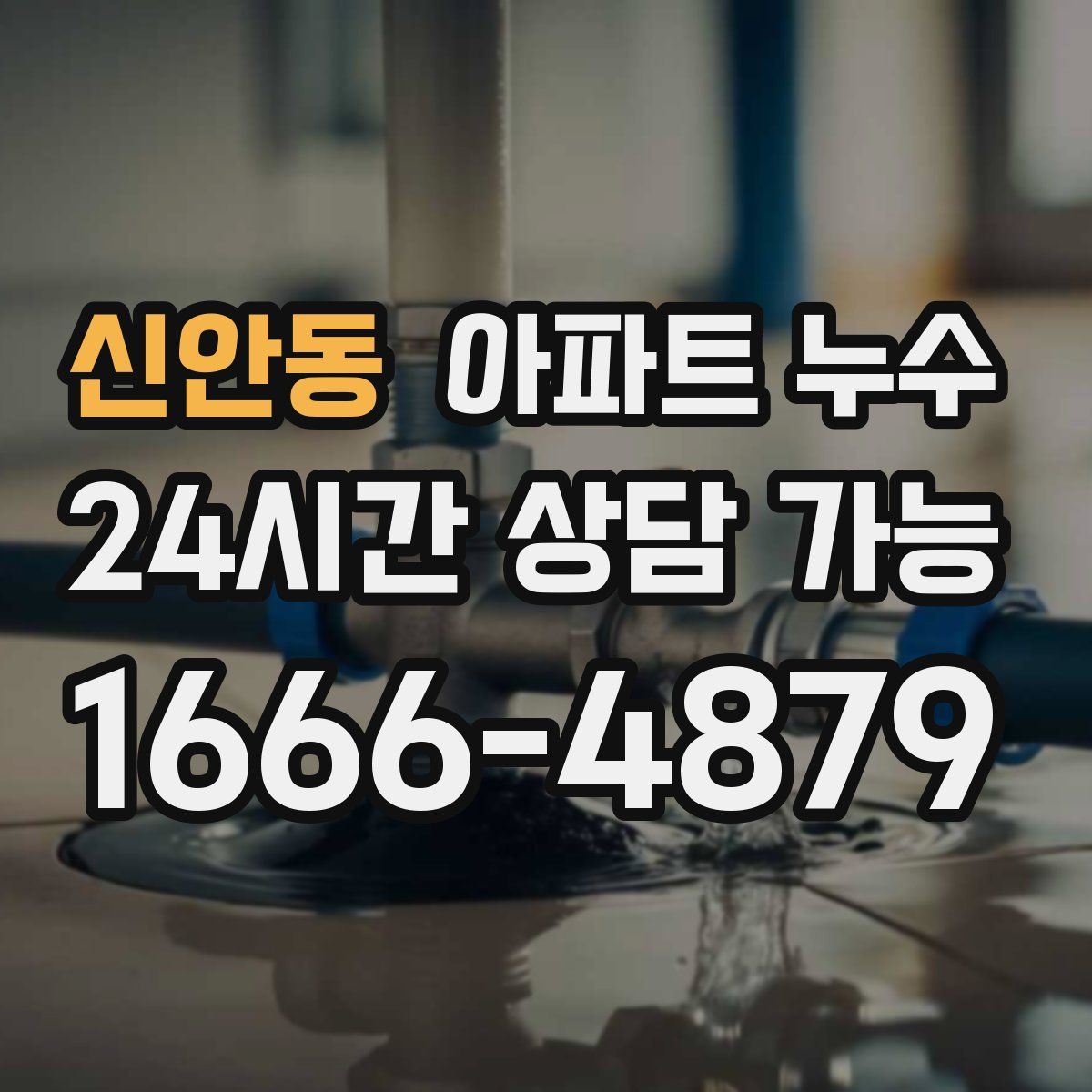 신안동 아파트 누수탐지