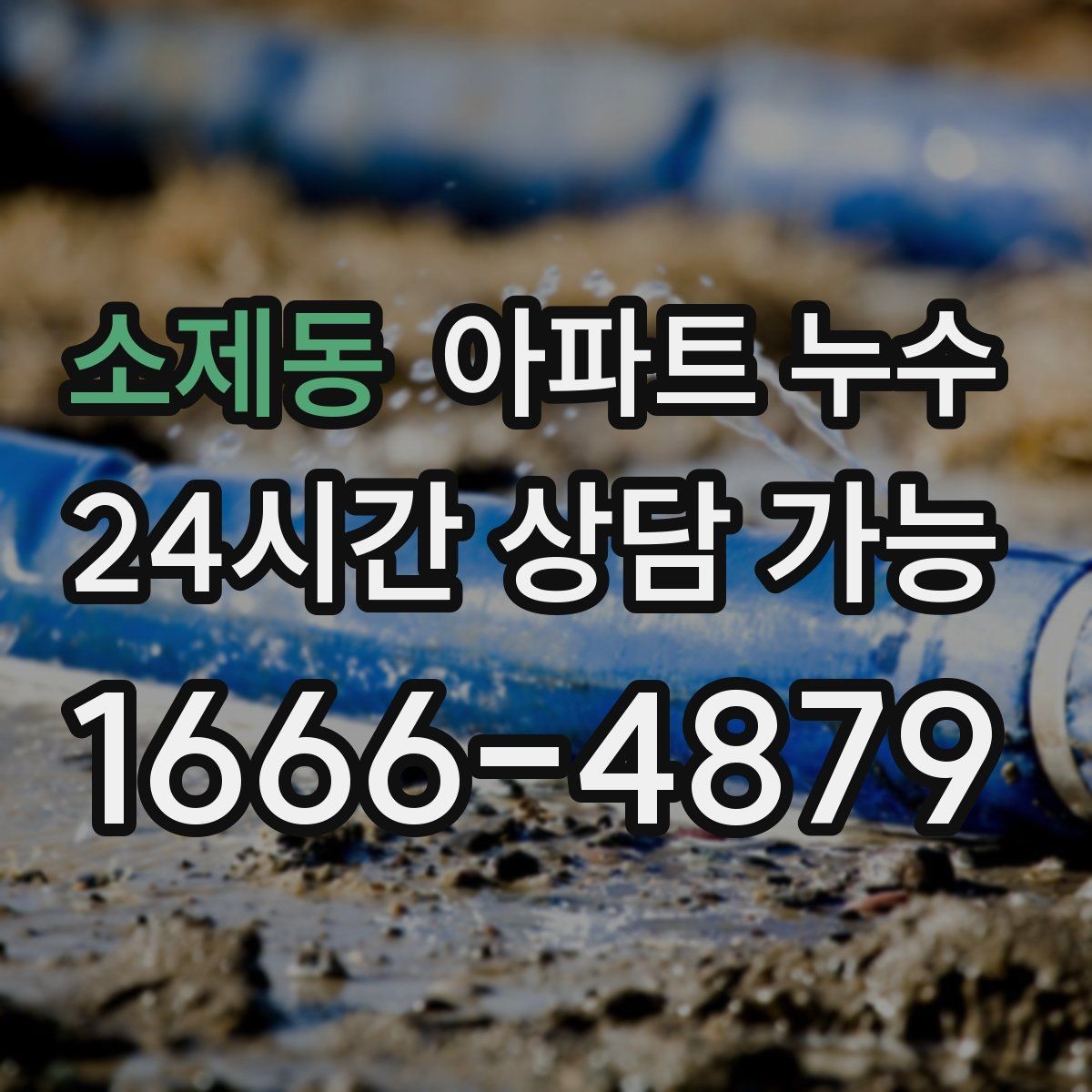 소제동 아파트 누수 현관 쪽까지 습기가 번질 때