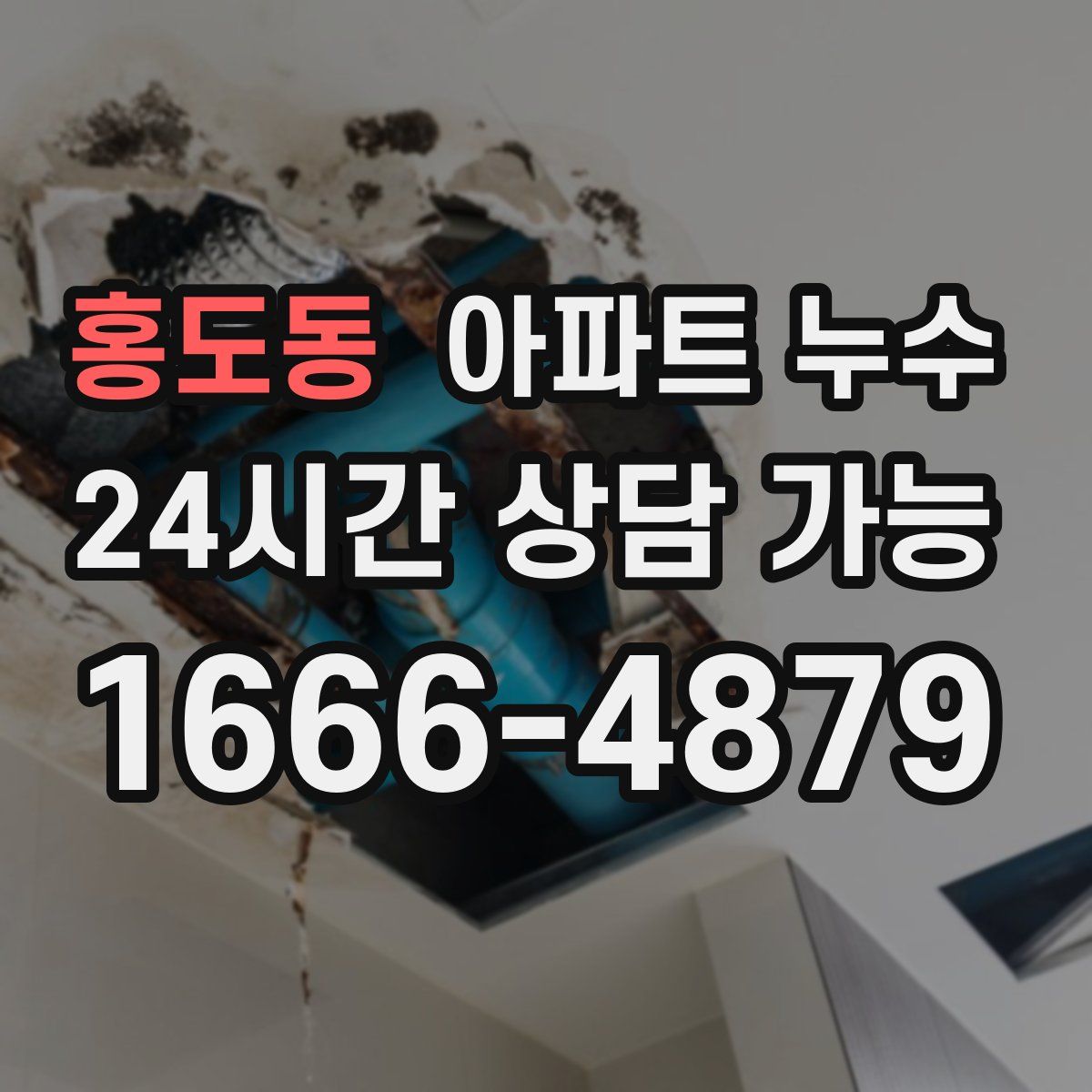 홍도동 아파트 누수탐지