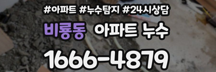 비룡동 누수탐지