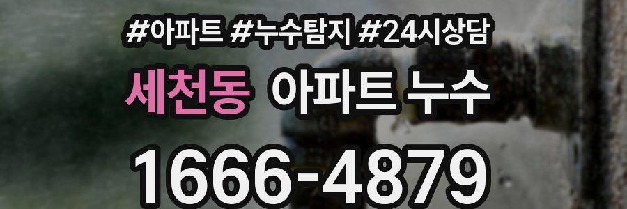 세천동 누수탐지