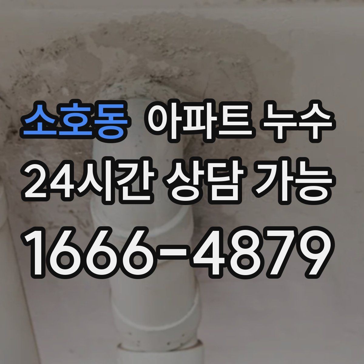 소호동 아파트 누수 곰팡이가 늘어날 때 먼저 해야 할 관리사무소 대응