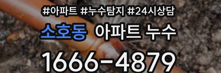 소호동 누수탐지