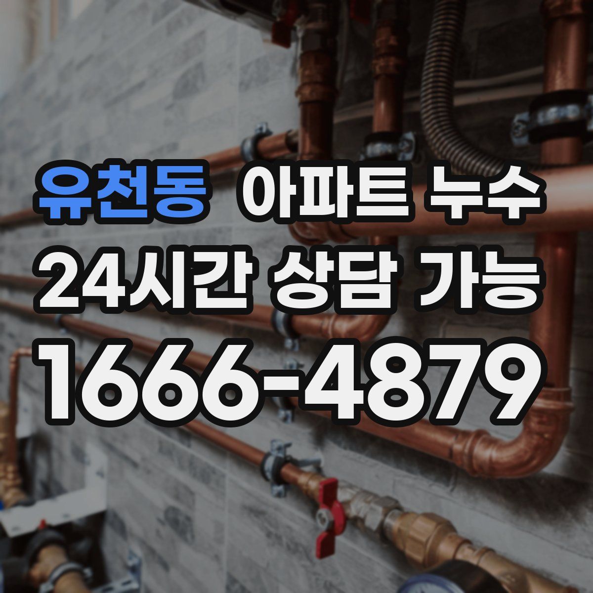 유천동 아파트 누수탐지