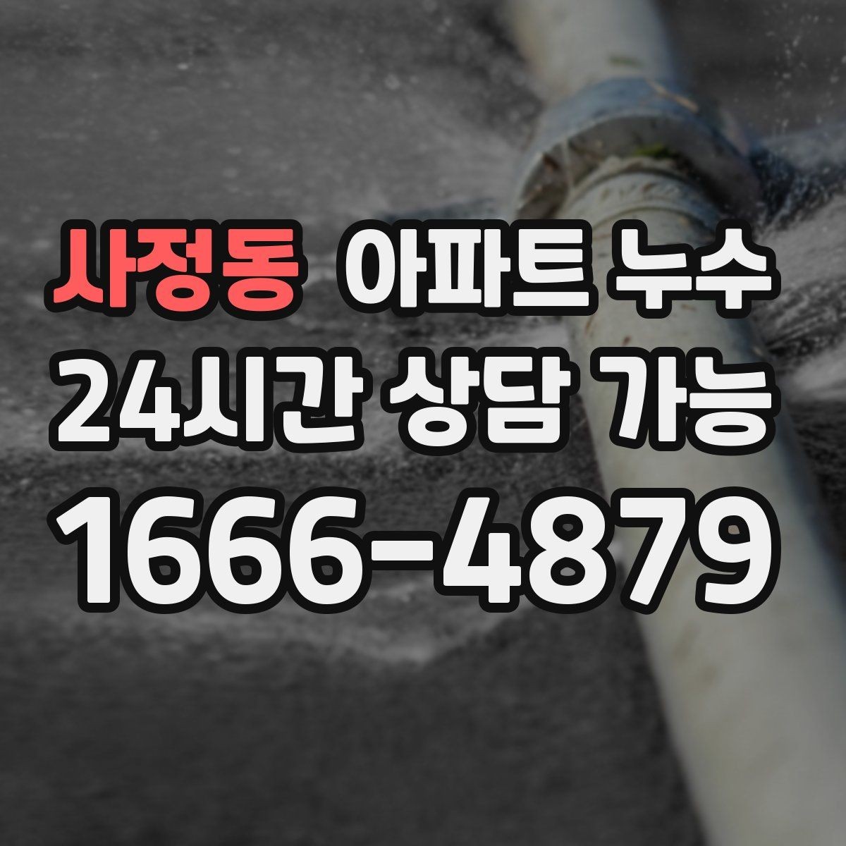 사정동 아파트 누수 벽면 변색이 심해지는 패턴 분석