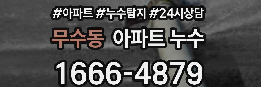 무수동 누수탐지