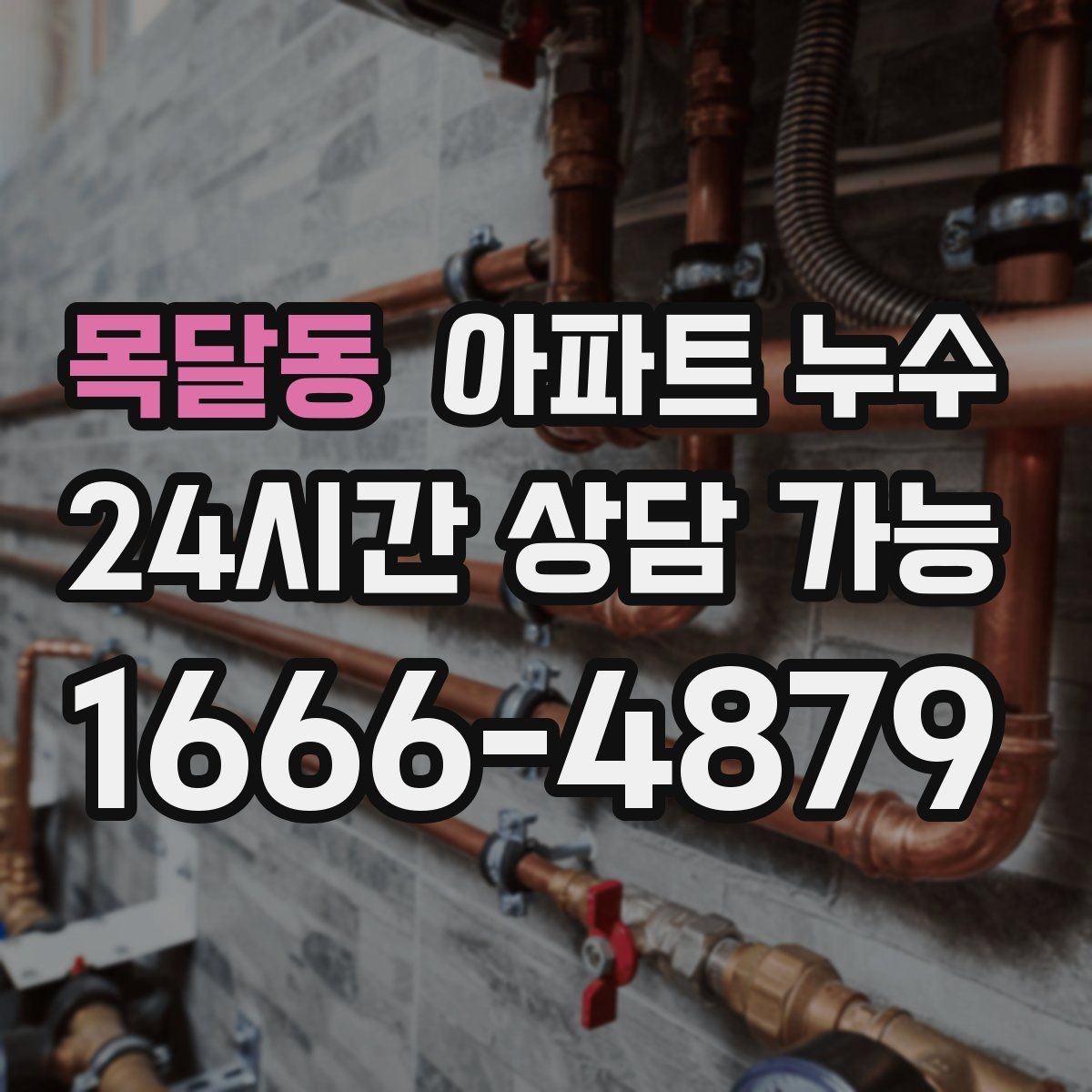 목달동 아파트 누수 물자국만 가리면 재발하는 이유