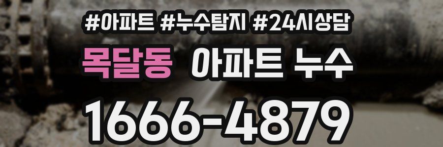 목달동 누수탐지