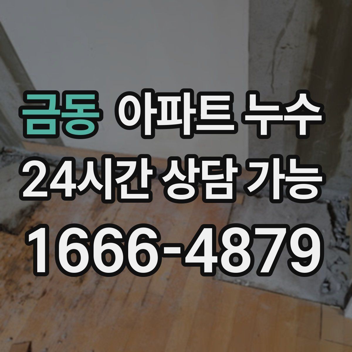 금동 아파트 누수 세탁기 뒤쪽 벽이 젖을 때 점검