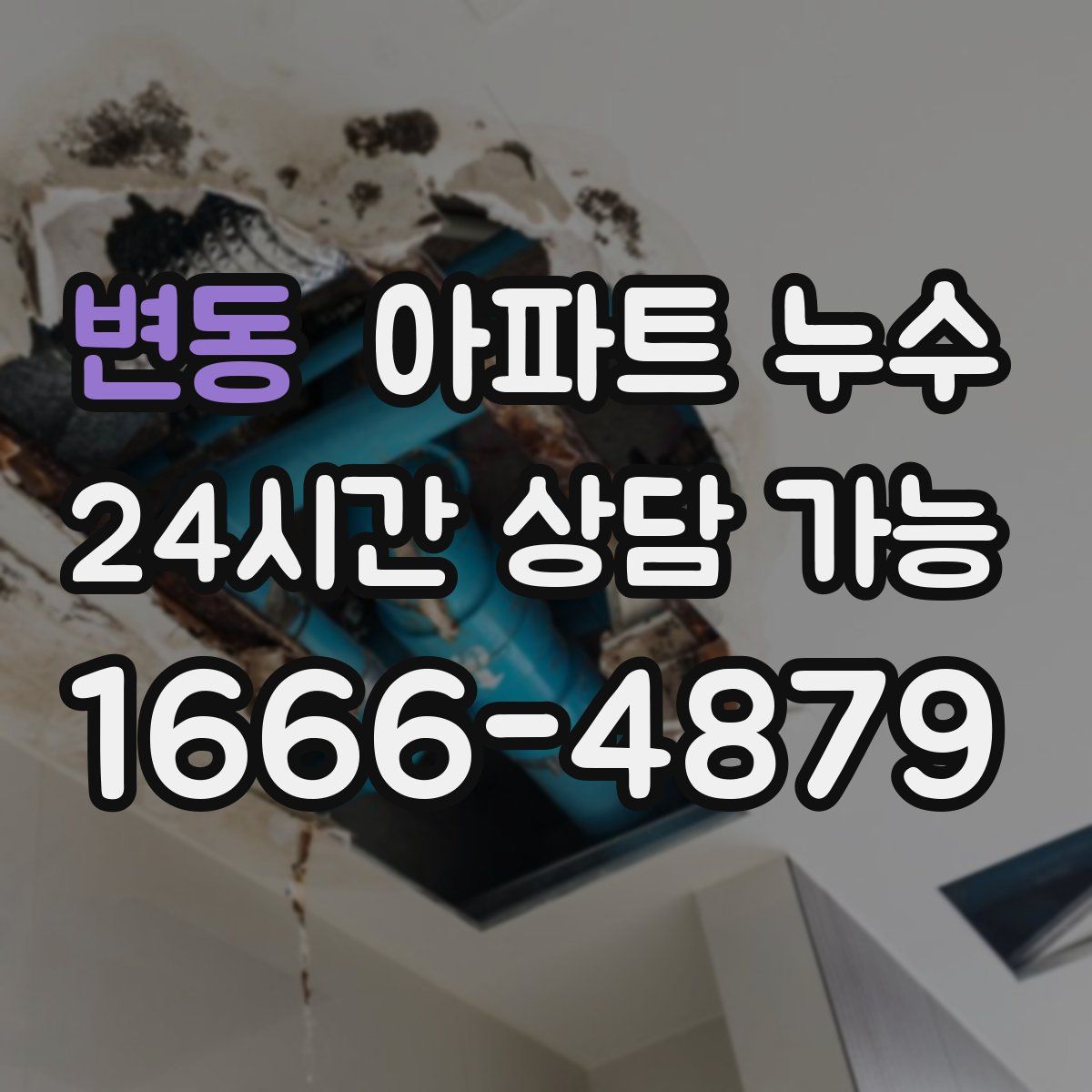 변동 아파트 누수탐지