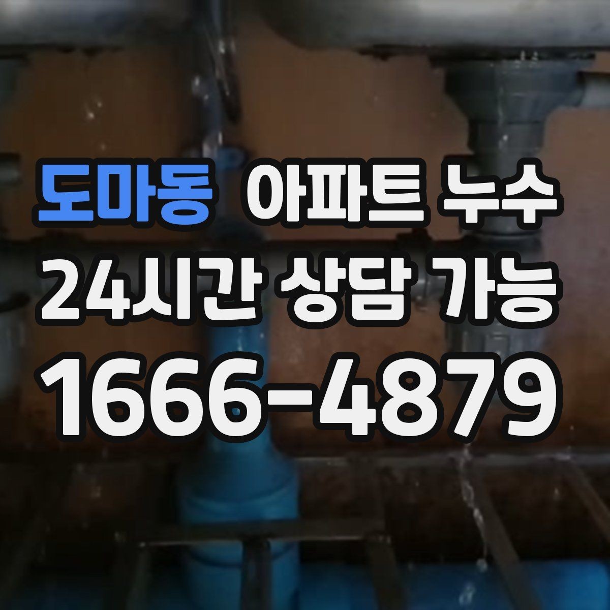 도마동 아파트 누수 아래층 천장으로 번지기 쉬운 케이스