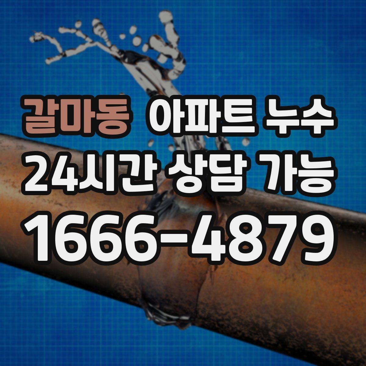 갈마동 아파트 누수 원인부터 잡는 빠른 점검 가이드
