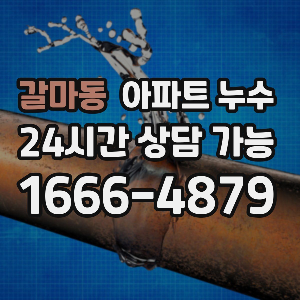 갈마동 아파트 누수탐지