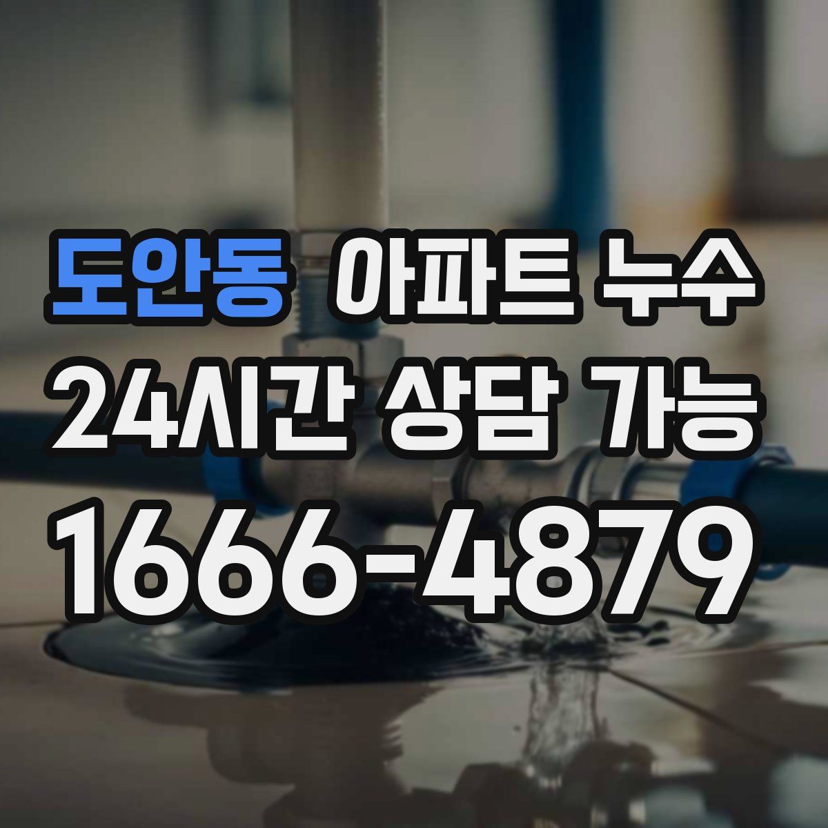 도안동 아파트 누수탐지