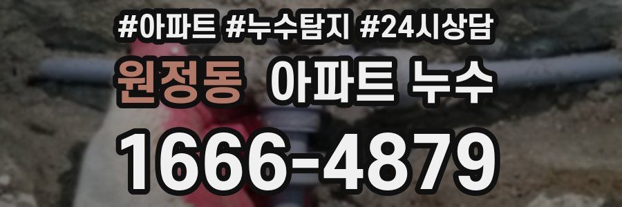 원정동 누수탐지