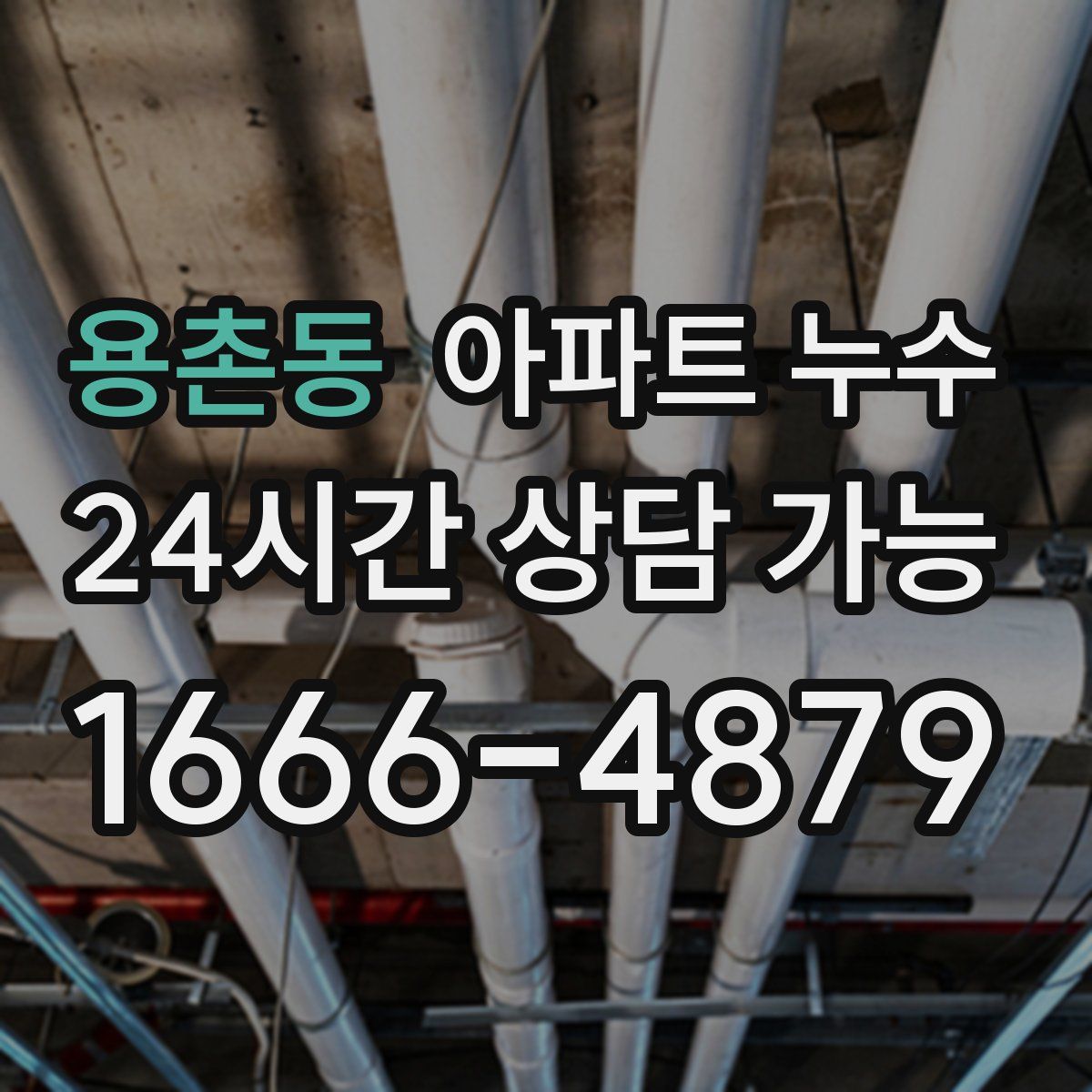 용촌동 아파트 누수탐지