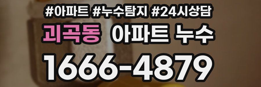 괴곡동 누수탐지