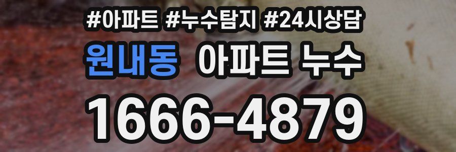 원내동 누수탐지